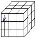 Adobe Systems